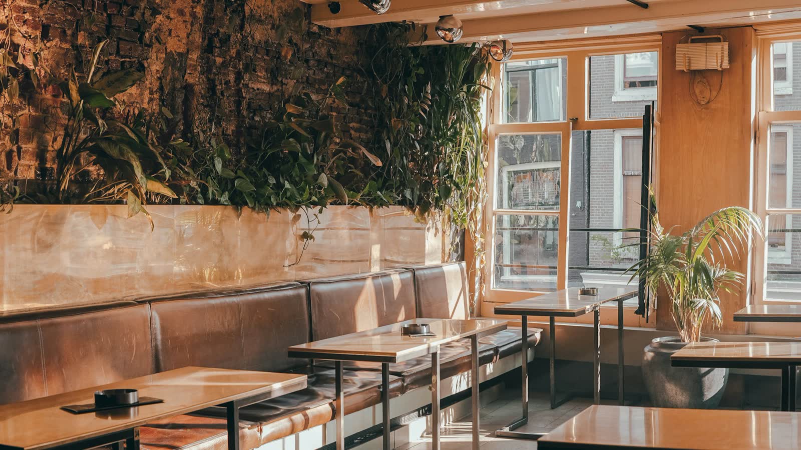 Salón de café con mesas de madera, bancos tapizados, plantas y ventanales